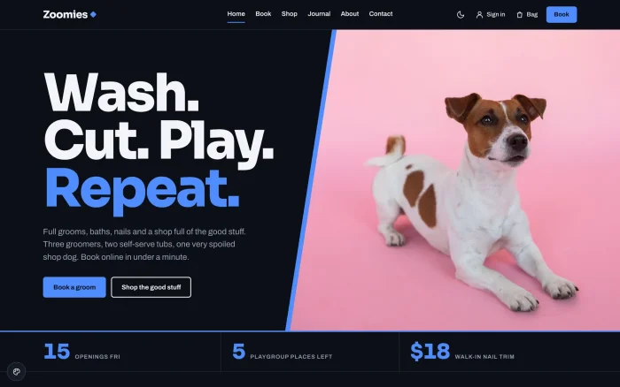 Zoom home page