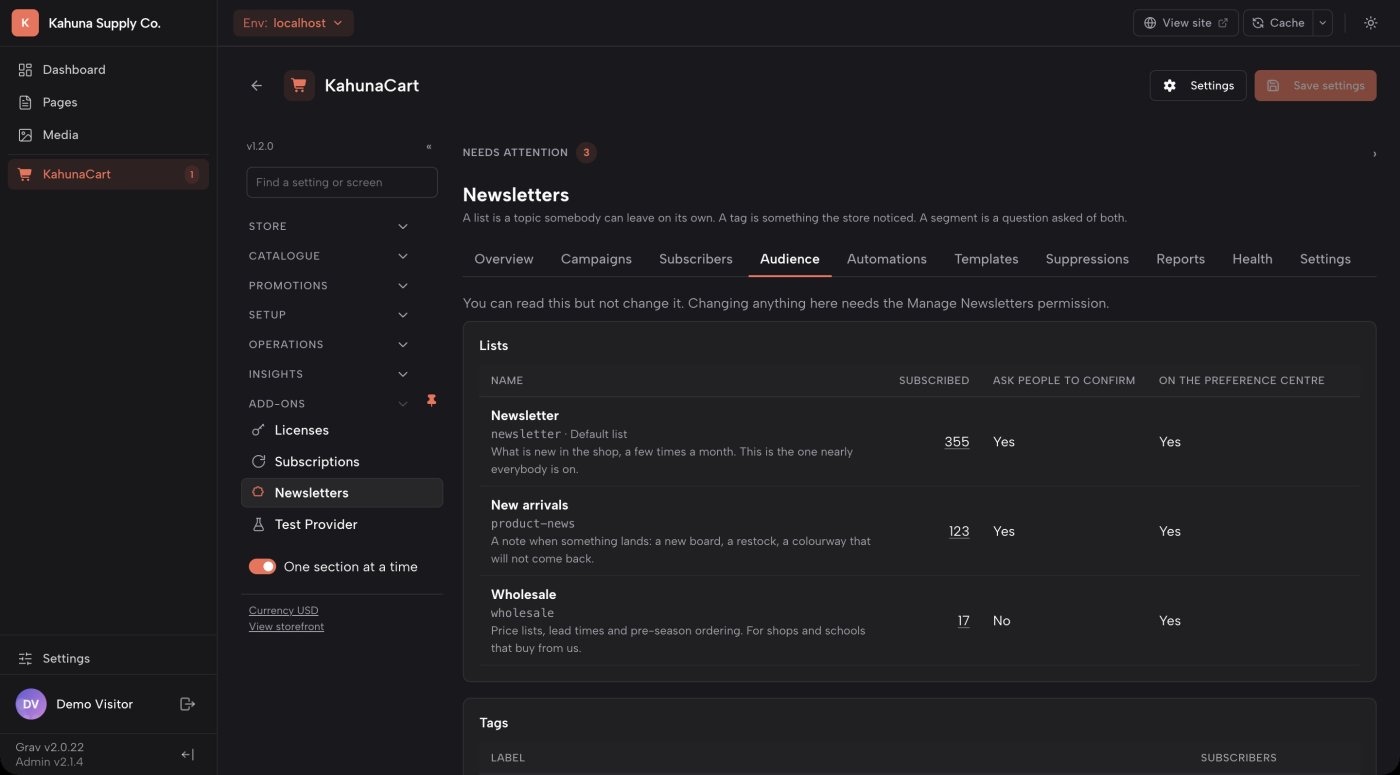 The Audience screen in the KahunaCart admin, showing lists, tags and segments with their counts